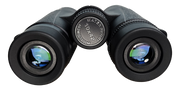 GAMECHANGER HAWK 10X42 BINOCULARS