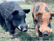 WILDCRETE AUSTRALIAN FERAL BOAR 3D ARCHERY TARGET