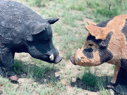 WILDCRETE AUSTRALIAN FERAL BOAR 3D ARCHERY TARGET