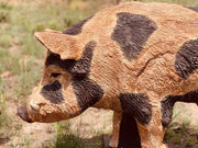 WILDCRETE AUSTRALIAN FERAL BOAR 3D ARCHERY TARGET